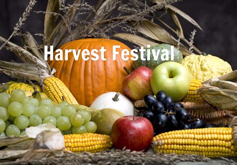Celebrating the Gifts of the Earth: Pagan Harvest Festival 2022